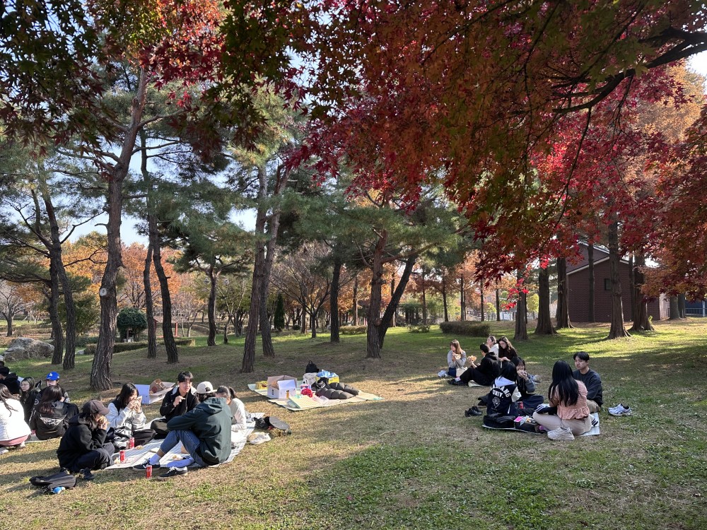 KakaoTalk_20251113_174329585_22