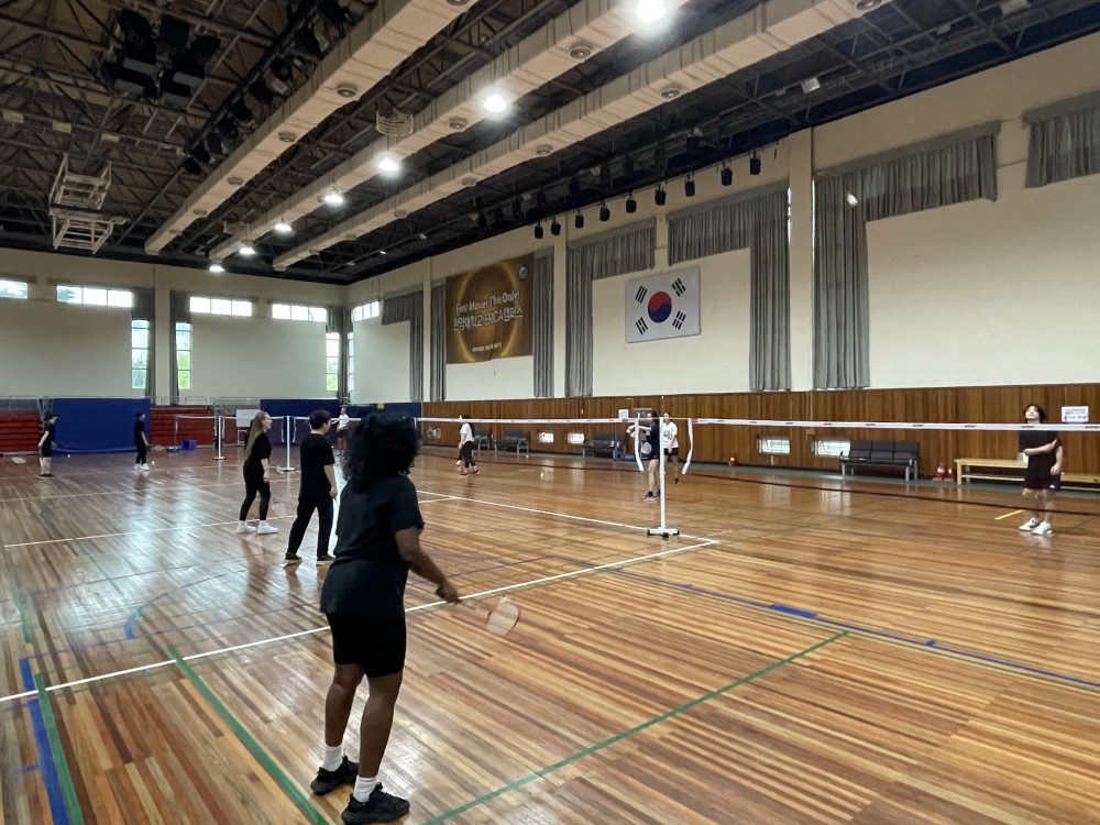 Badminton(3)