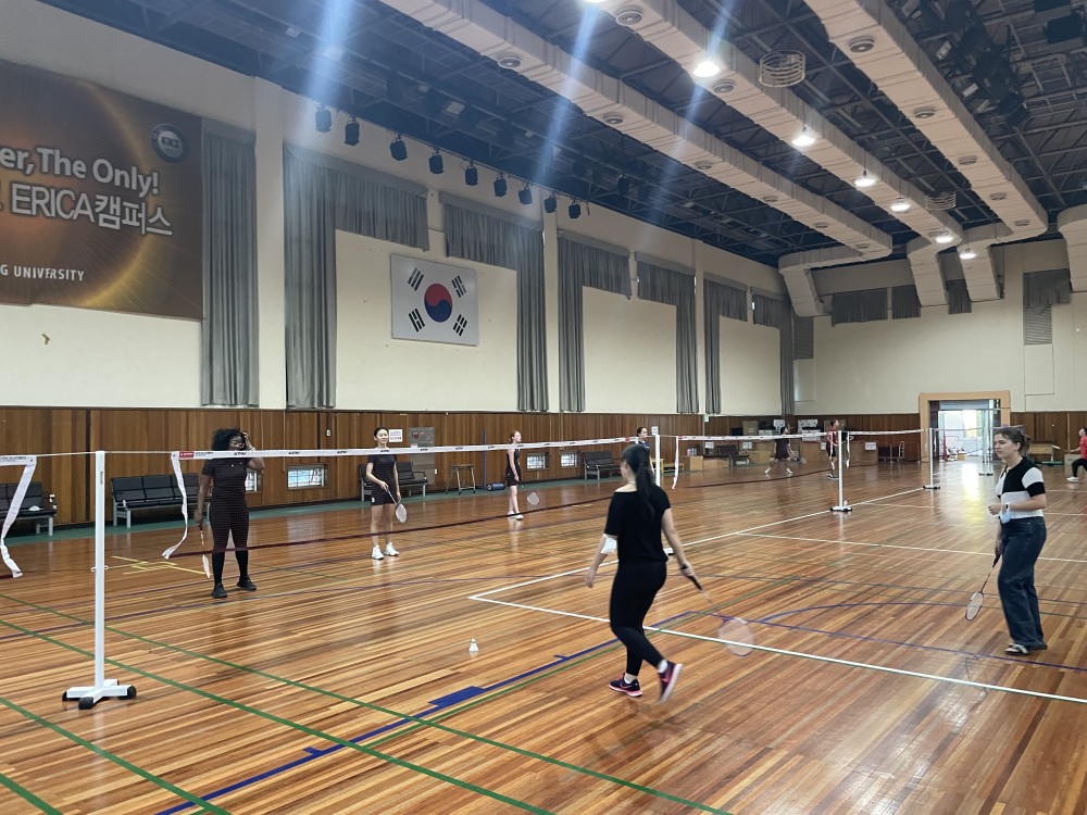 Badminton(4)