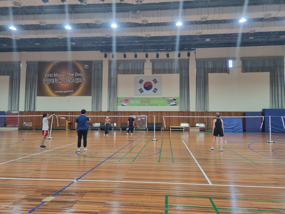 Badminton(9)